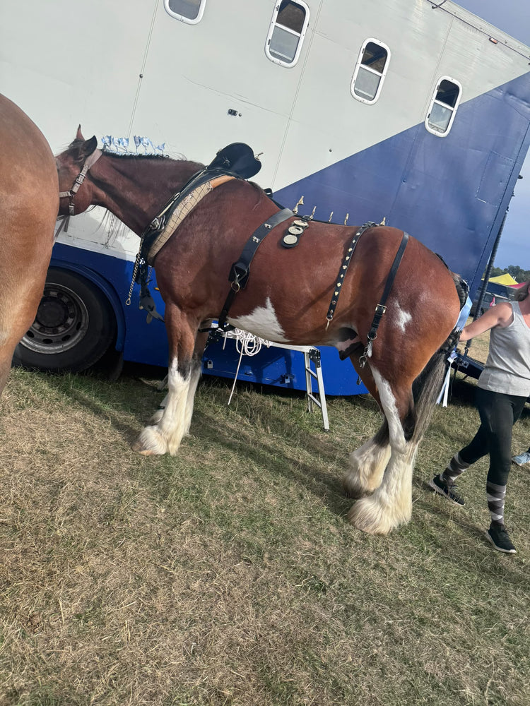 Glitter braids by The Glitter Braid Bar at the Heavy Horse Show