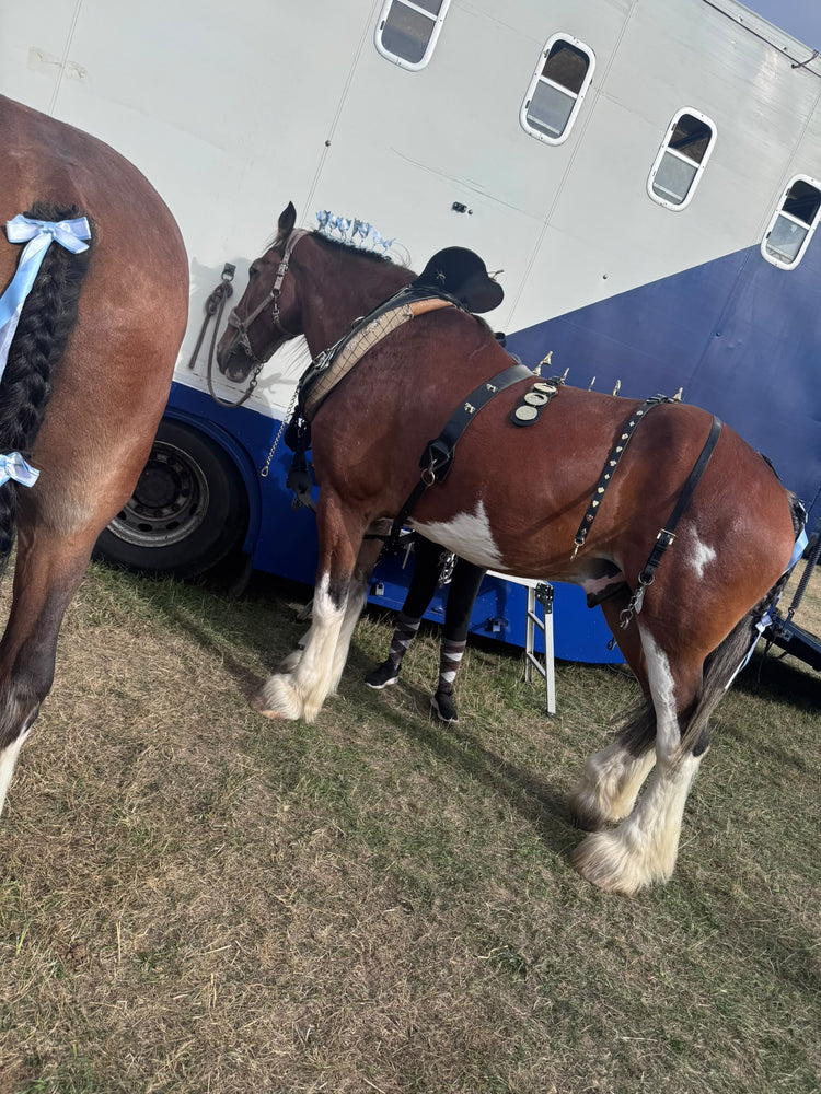 Glitter braids by The Glitter Braid Bar at the Heavy Horse Show